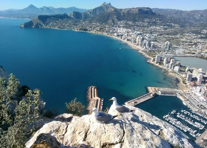 Calpe9a * Calp
